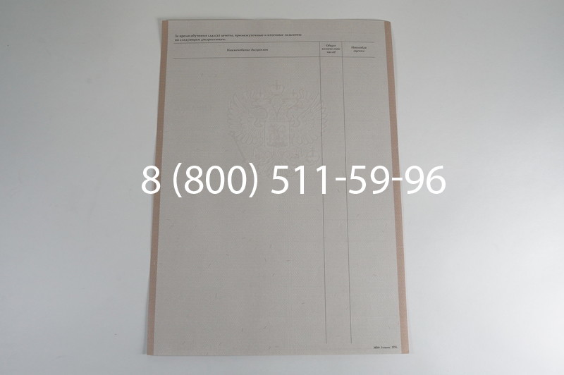 Заказать Академическая справка 1996-2009 года в Краснодаре