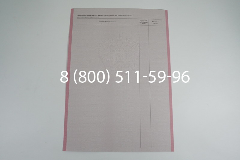 Заказать Академическая справка образца 1996-2009 год для колледжа в Краснодаре