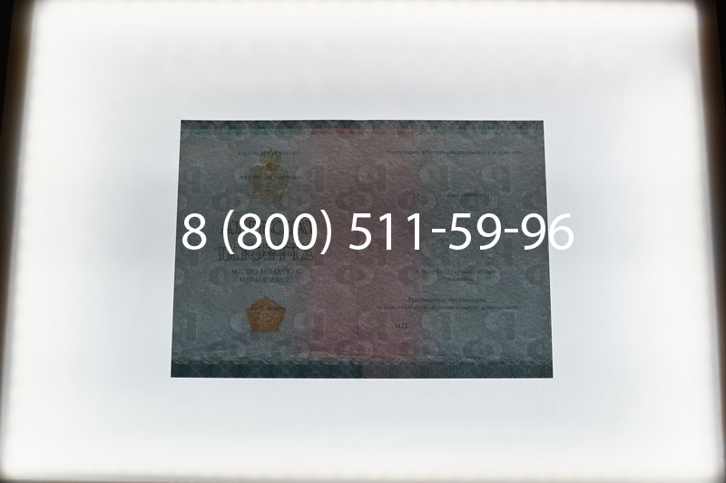 Купить Аттестат вечерней школы в Краснодаре