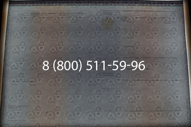 Заказать Диплом бакалавра (Киржач) 2014-2026 года в Краснодаре