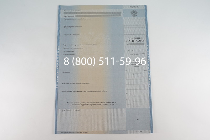 Диплом бакалавра 2003-2009 годов в Краснодаре