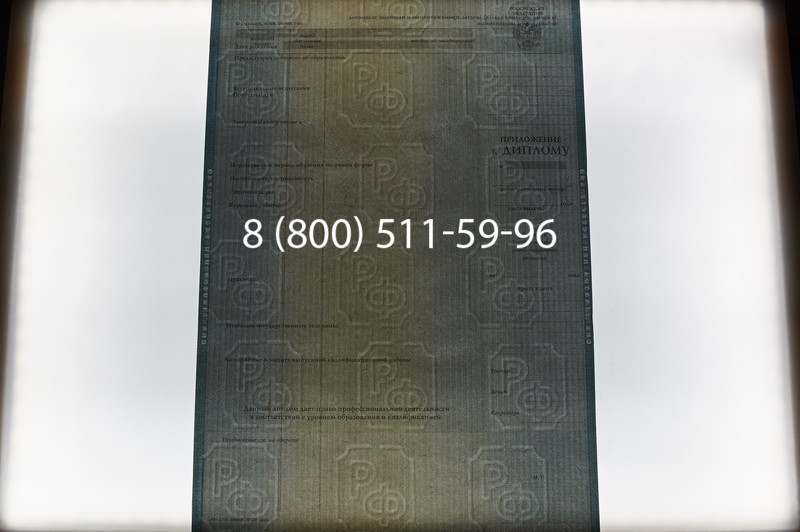 Заказать Диплом бакалавра 2012-2013 годов в Краснодаре