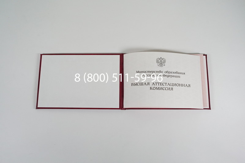 Диплом доктора наук 1995-2006 года в Краснодаре