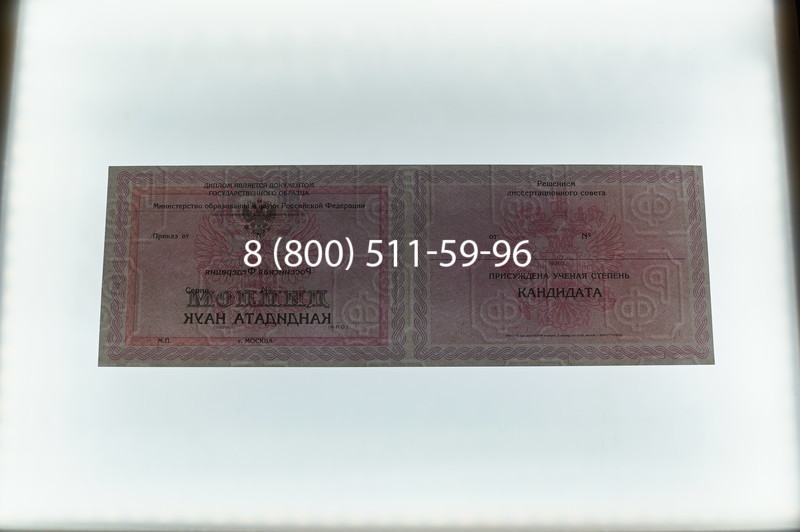 Заказать Диплом кандидата наук 2010 в Краснодаре