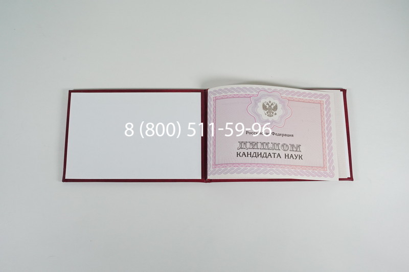 Заказать Диплом кандидата наук 2010 в Краснодаре