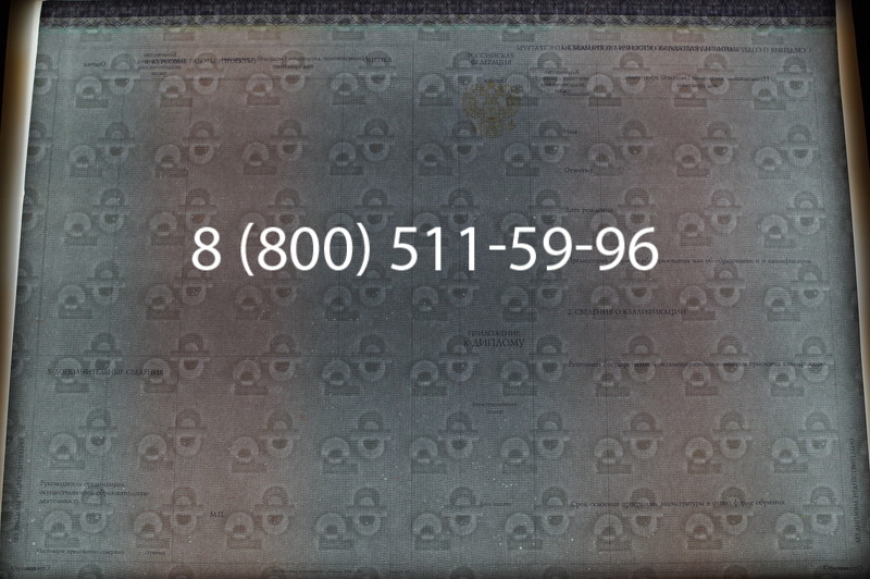 Заказать Диплом магистра (КИРЖАЧ) 2014-2026годов в Краснодаре