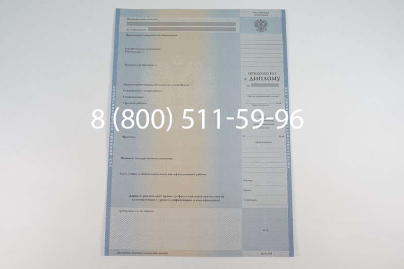 Диплом магистра 2003-2009 годов в Краснодаре