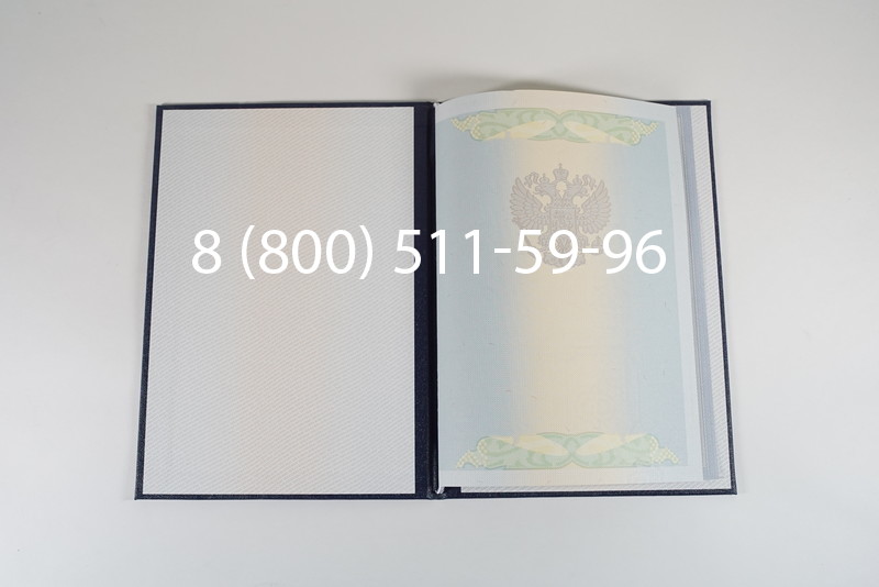 Диплом магистра 2010-2011 годов в Краснодаре