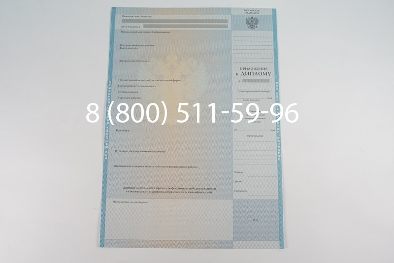 Диплом магистра 2010-2011 годов в Краснодаре