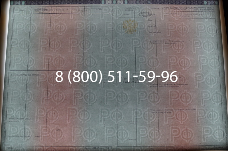 Заказать Диплом о высшем образовании 2014-2026 годов в Краснодаре