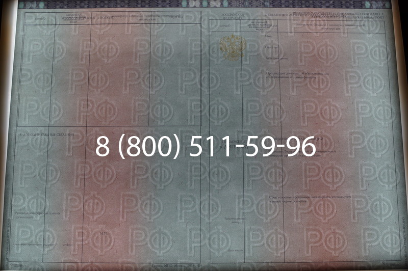 Заказать Диплом специалиста 2014-2026 года в Краснодаре