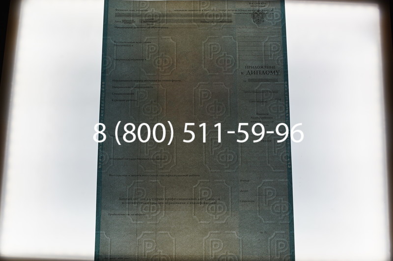 Заказать Диплом специалиста 2010-2011 годов в Краснодаре