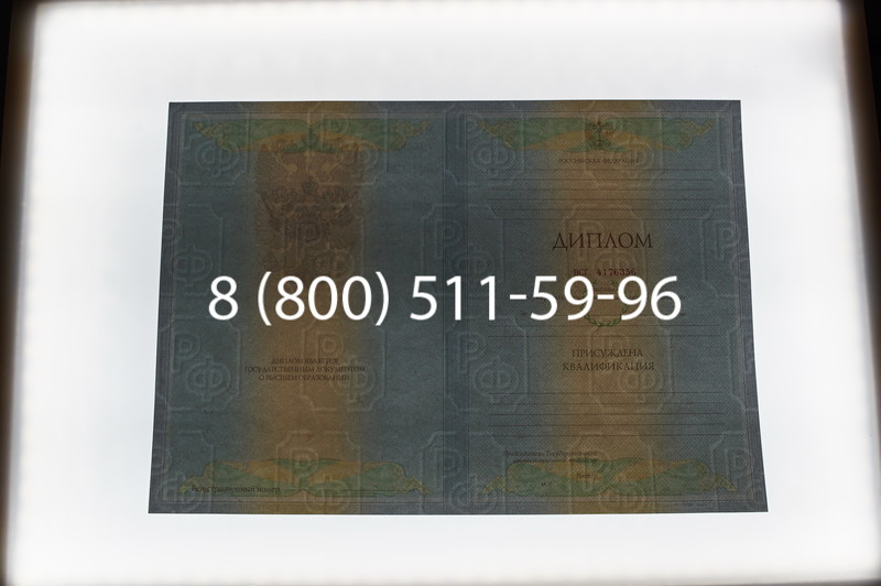 Заказать Диплом специалиста 2010-2011 годов в Краснодаре