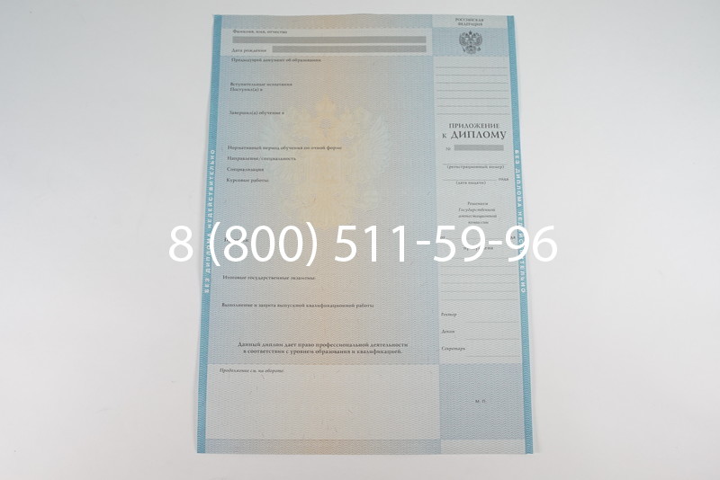 Диплом специалиста 2010-2011 годов в Краснодаре