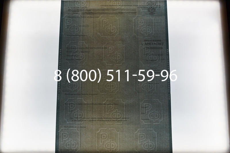 Заказать Диплом специалиста 2012-2013 годов в Краснодаре