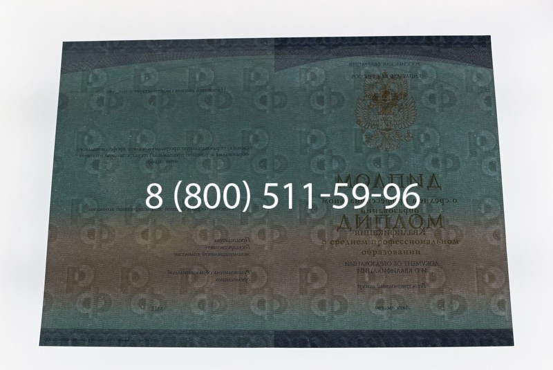 Диплом колледжа (Спецбланк) 2014-2026 года в Краснодаре