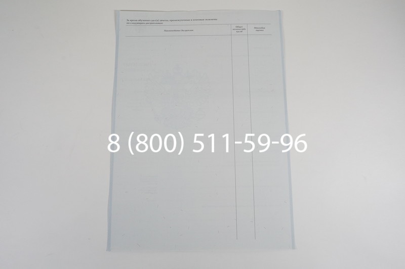 Диплом училища 2007-2009 годов в Краснодаре