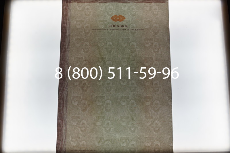 Купить Справка об обучении в Краснодаре