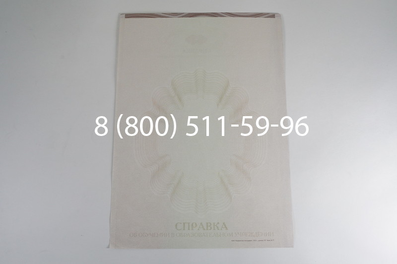 Заказать Справка об обучении в Краснодаре